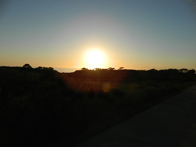 Sunset at Torre Pines