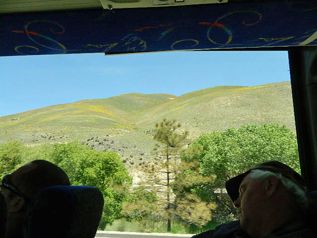 North of LA from the bus